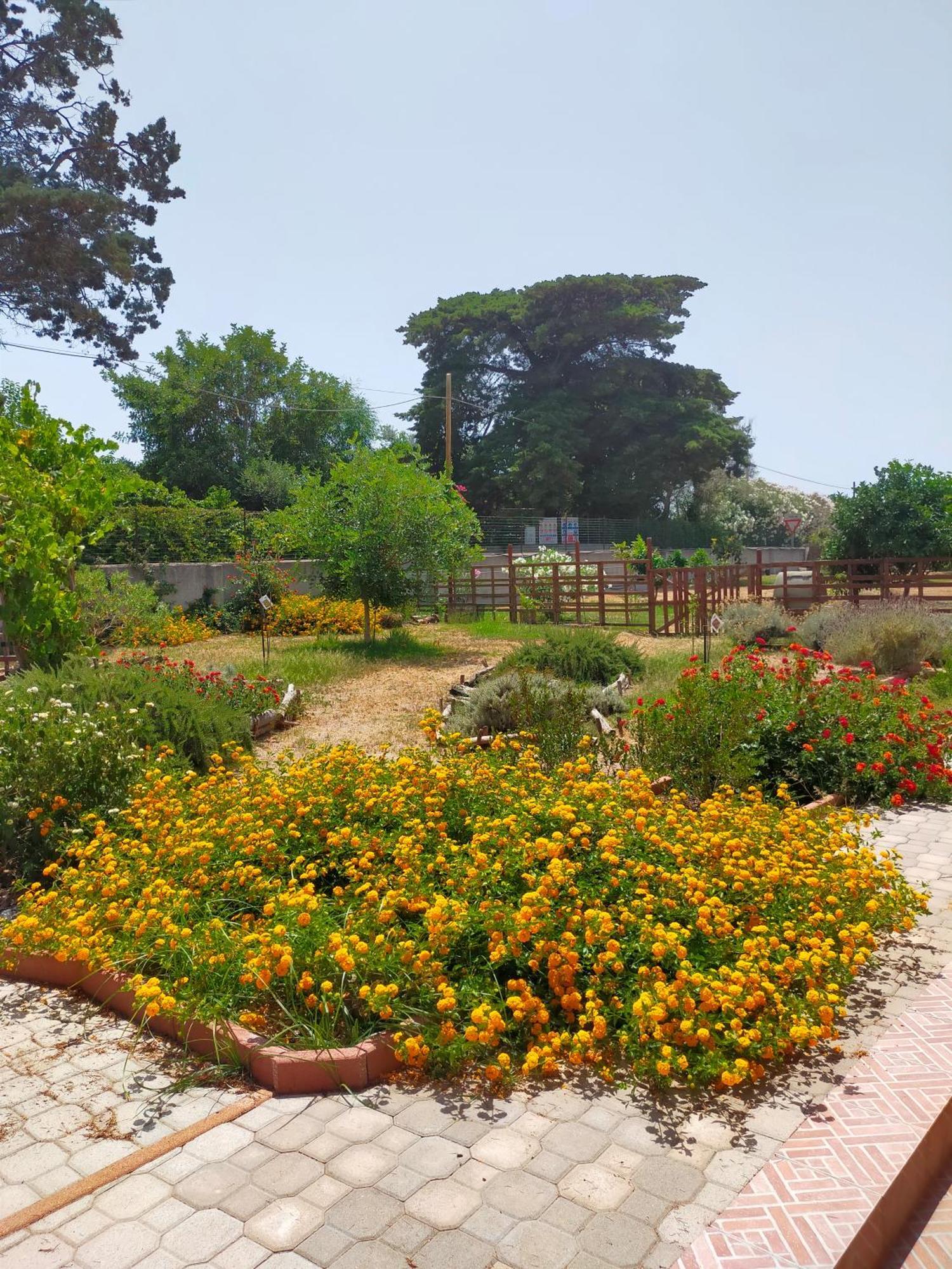 Villa Casa Marina Lu Tuvaraggiu Casa Vacanze Sorso Exterior foto